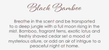 Black Bamboo