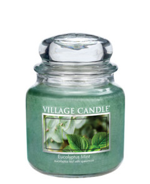 eucalyptus-mint