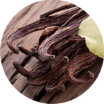 vanilla notes